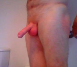 Selfie of my cock.