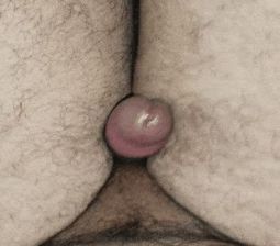 Cumshot