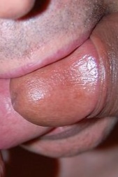 Licking cock