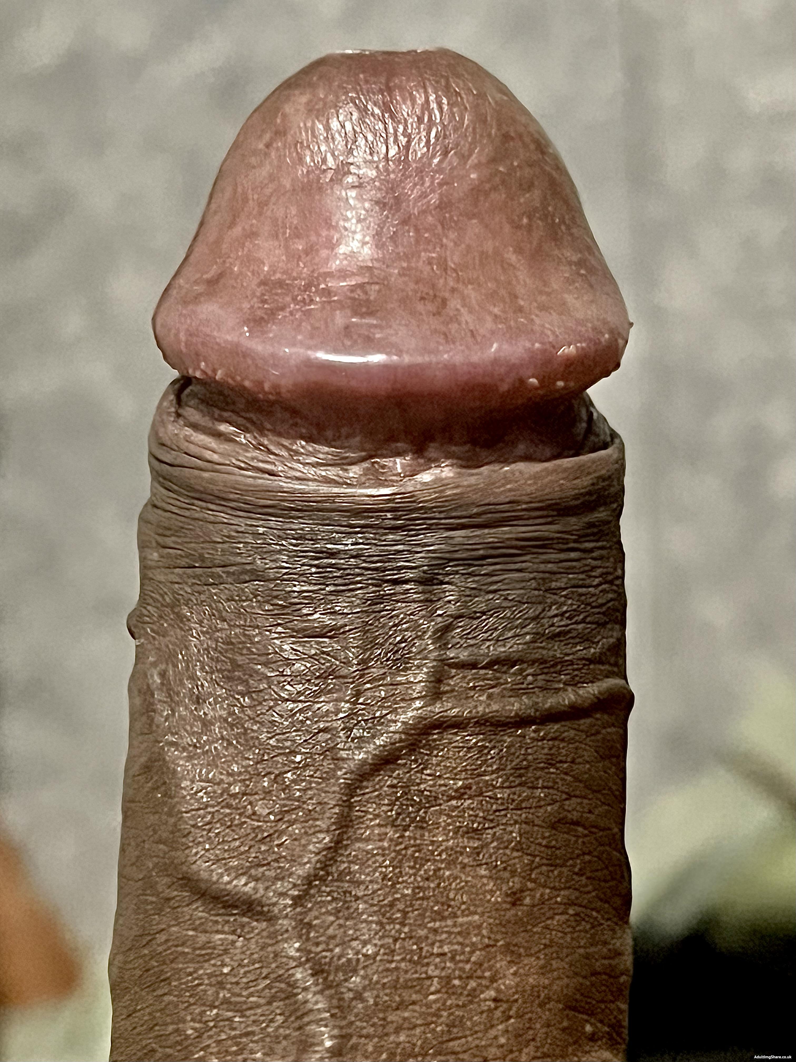 My nude penis